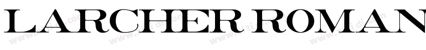 LARCHER ROMAN字体转换